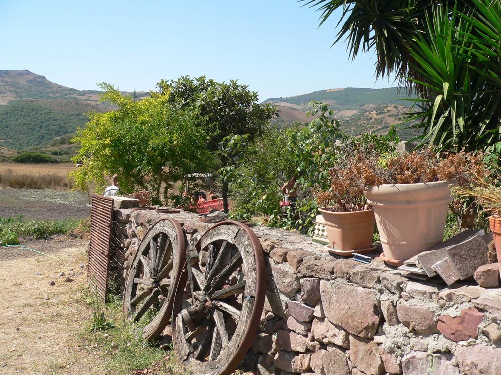 Agriturismo Sa Tanca Noa Tergu Buitenkant foto