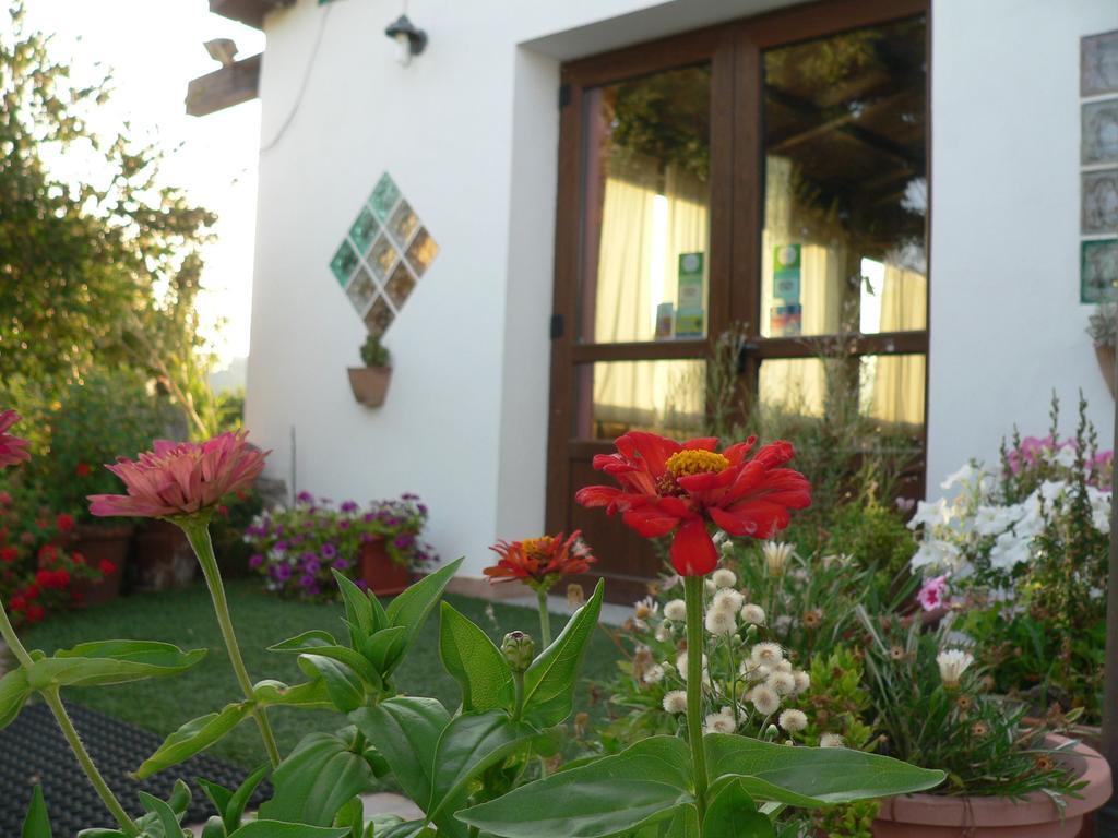 Agriturismo Sa Tanca Noa Tergu Buitenkant foto