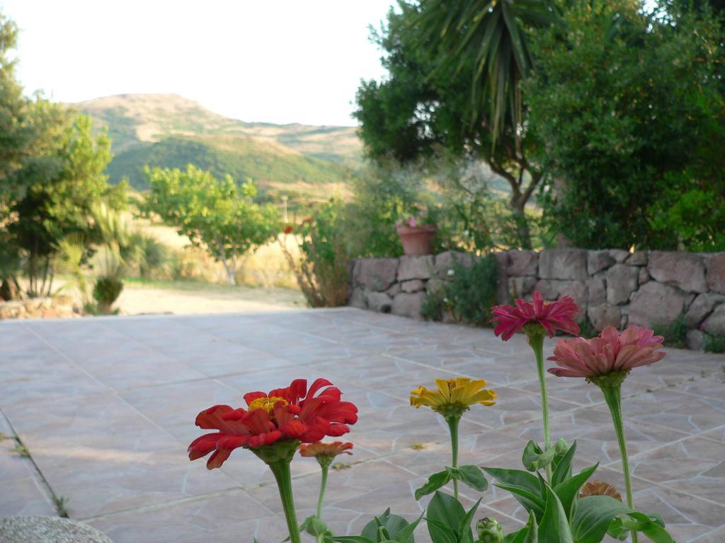 Agriturismo Sa Tanca Noa Tergu Buitenkant foto