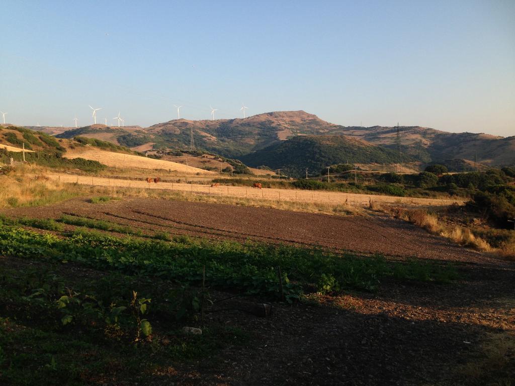Agriturismo Sa Tanca Noa Tergu Buitenkant foto