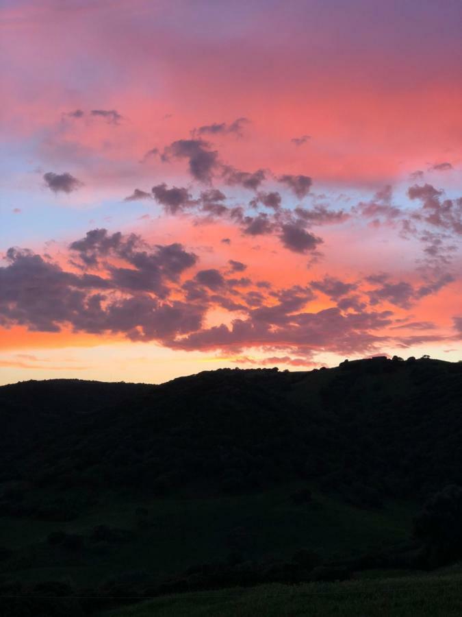 Agriturismo Sa Tanca Noa Tergu Buitenkant foto