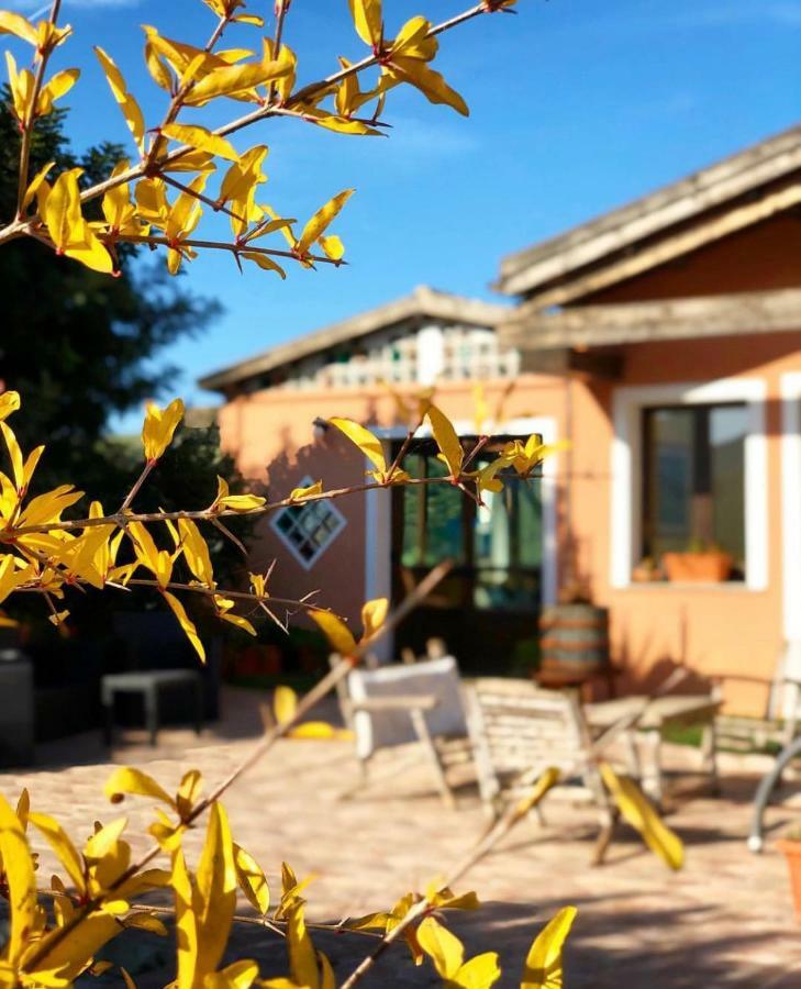 Agriturismo Sa Tanca Noa Tergu Buitenkant foto