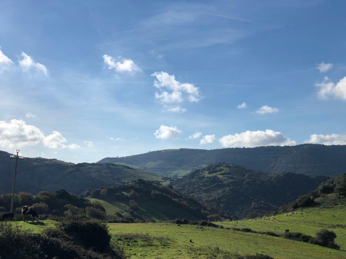 Agriturismo Sa Tanca Noa Tergu Buitenkant foto