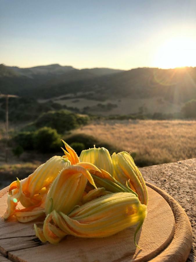 Agriturismo Sa Tanca Noa Tergu Buitenkant foto